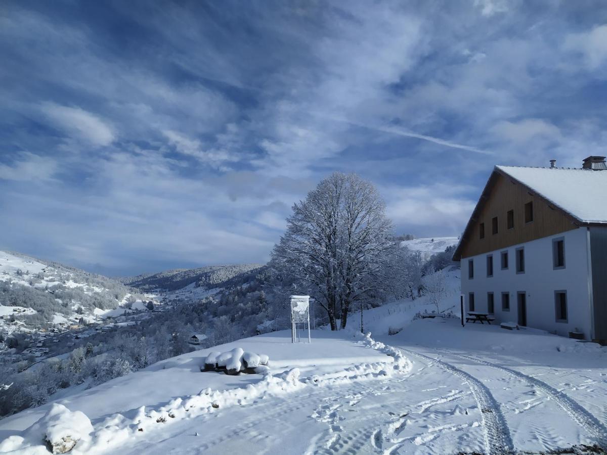 Gîtes de Moyenmont La Bresse Extérieur photo