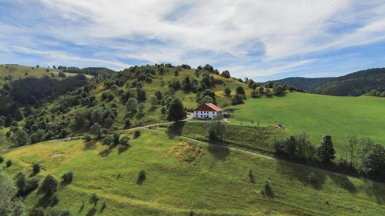 Gîtes de Moyenmont La Bresse Extérieur photo
