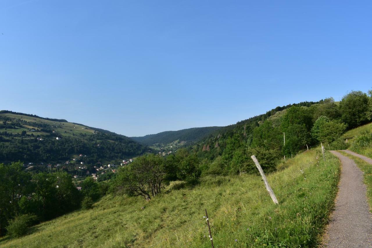 Gîtes de Moyenmont La Bresse Extérieur photo